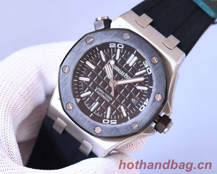 Audemars Piguet Watch APW00063-2